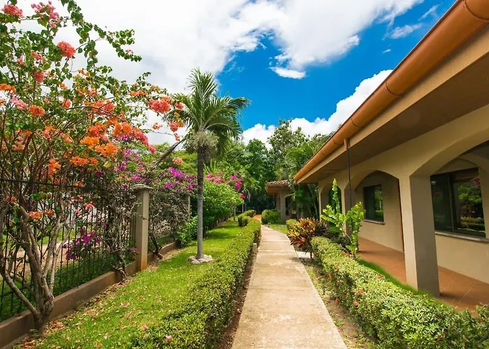 Cozy Garden With Vibrant Tropical Decor, Swimming Pool And Rancho Brasilito